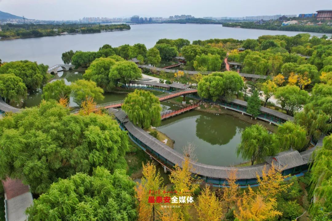 最是橙黄橘绿时！天平湖公园迎来秋季赏景最佳时节！