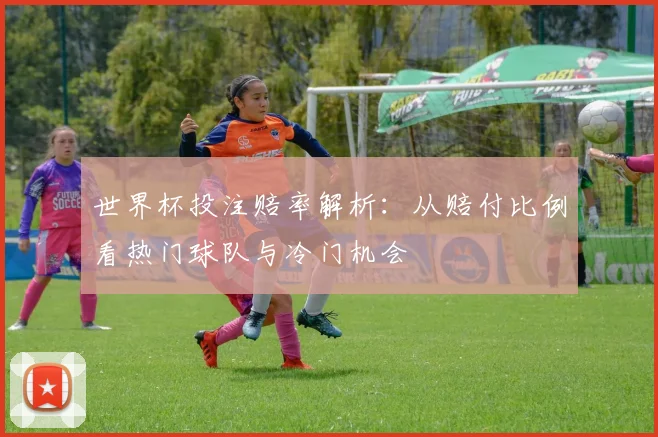 世界杯投注赔率解析:从赔付比例看热门球队与冷门机会
