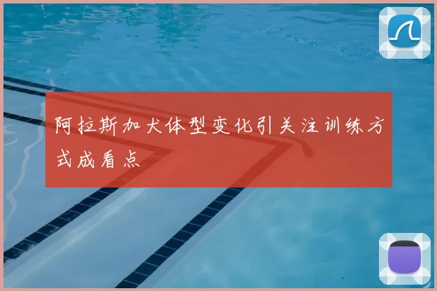 阿拉斯加犬体型变化引关注训练方式成看点