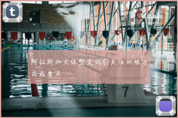 阿拉斯加犬体型变化引关注训练方式成看点