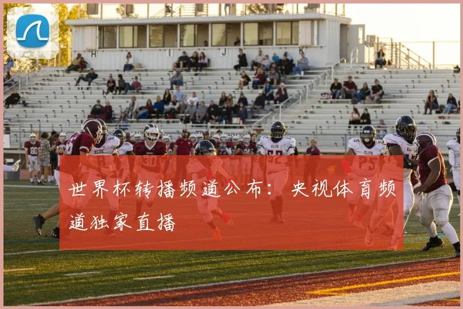 世界杯转播频道公布：央视体育频道独家直播