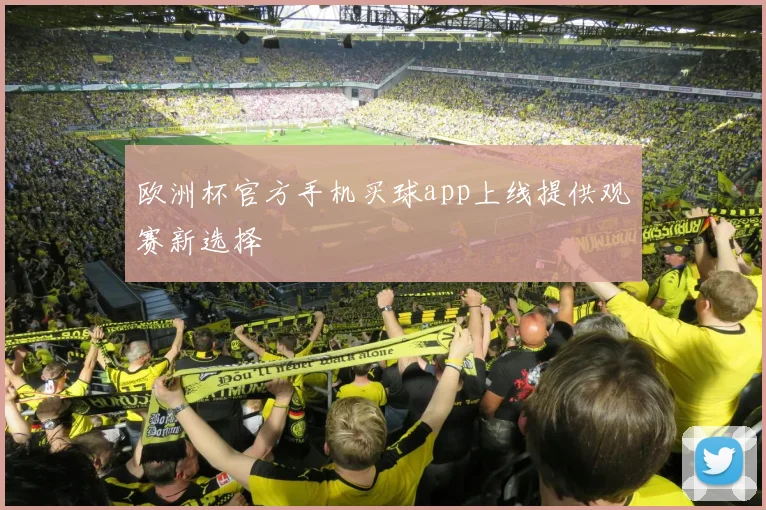 欧洲杯官方手机买球app上线提供观赛新选择